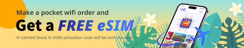 Free eSIM